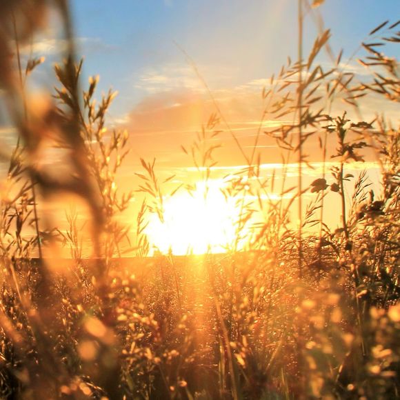 Meet your Posher, Makenzie - Picture 1 of 1